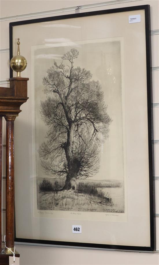 Alfred Blundell (1883-1968), The Black Poplar, signed in pencil in the margin and inscribed, 48 x 30cm